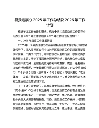 县委巡察办2025年工作总结及2026年工作计划