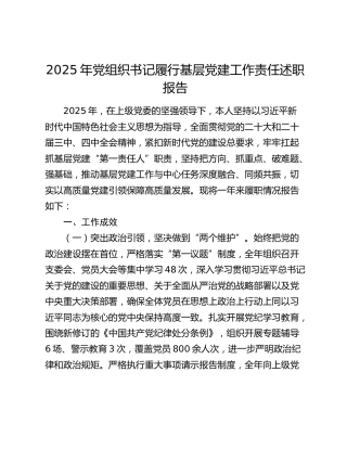 2025年党组织书记履行基层党建工作责任述职报告