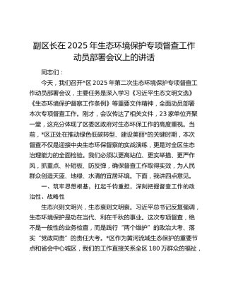 副区长在2025年生态环境保护专项督查工作动员部署会议上的讲话