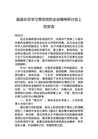 副县长在学习贯彻党的二十届四中全会精神研讨会上的发言（2）