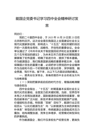 能国企党委书记学习四中全会精神研讨发言