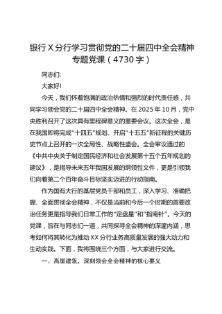 银行X分行学习贯彻党的二十届四中全会精神专题党课