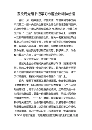 发改局党组书记学习专题会议精神感悟（四中全会）