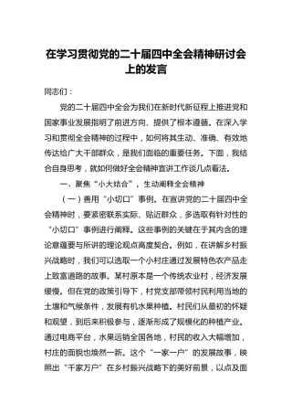 在学习贯彻党的二十届四中全会精神研讨会上的发言