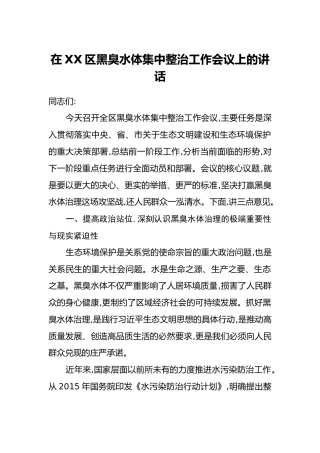 在XX区黑臭水体集中整治工作会议上的讲话