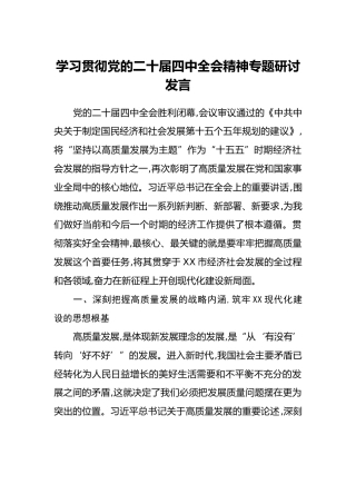 学习贯彻党的二十届四中全会精神专题研讨发言