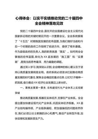 心得体会：以实干实绩推动党的二十届四中全会精神落地见效