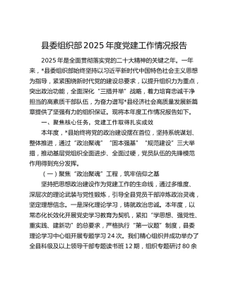 县委组织部2025年度党建工作情况报告