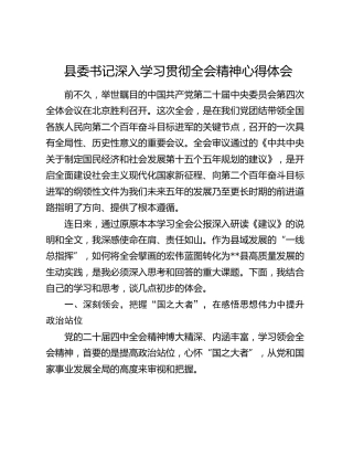 县委书记深入学习贯彻四中全会精神心得体会