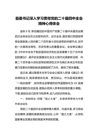 县委书记深入学习贯彻党的二十届四中全会精神心得体会