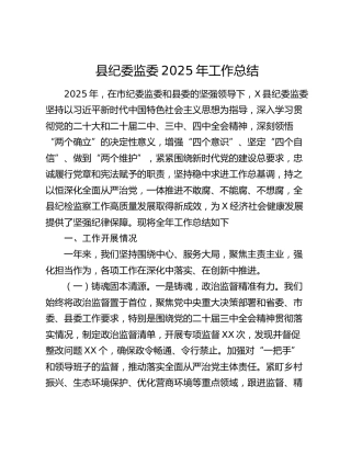 县纪委监委2025年工作总结