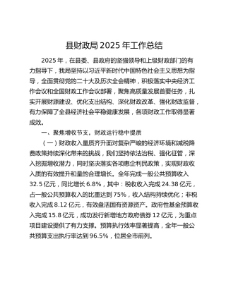 县财政局2025年工作总结