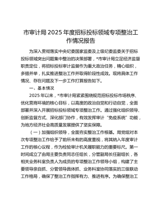 市审计局2025年度招标投标领域专项整治工作情况报告