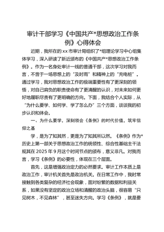 审计干部学习《中国共产思想政治工作条例》心得体会