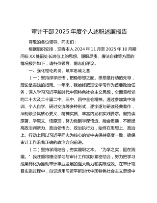 审计干部2025年度个人述职述廉报告