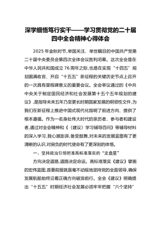 深学细悟笃行实干——学习贯彻党的二十届四中全会精神心得体会