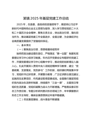 某镇2025年基层党建工作总结