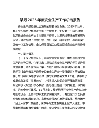 某局2025年度安全生产工作总结报告