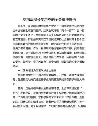交通局局长学习党的二十届四中全会精神感悟
