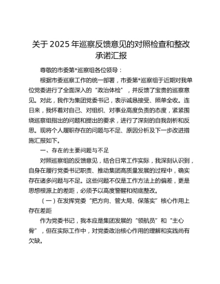 关于2025年巡察反馈意见的对照检查和整改承诺汇报