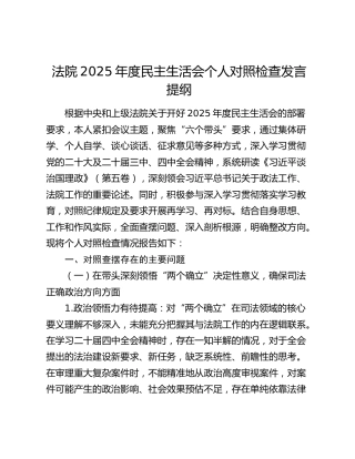 法院2025年度民主生活会个人对照检查发言提纲