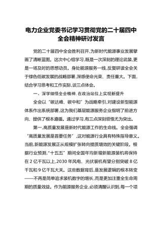 电力企业党委书记学习贯彻党的二十届四中全会精神研讨发言
