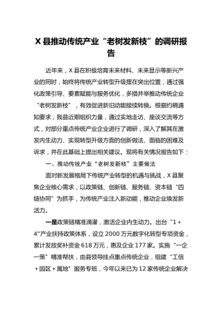 X县推动传统产业“老树发新枝”的调研报告