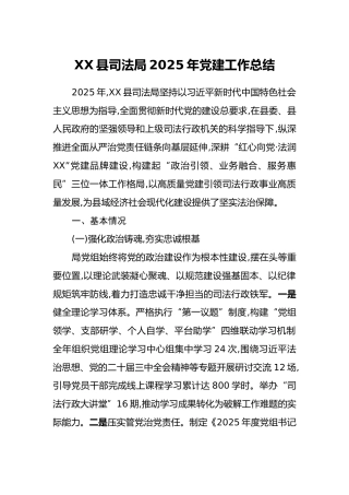 XX县司法局2025年党建工作总结