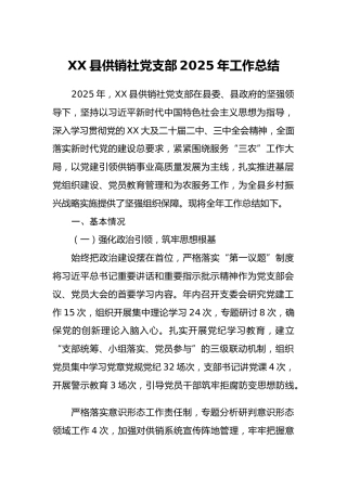 XX县供销社党支部2025年工作总结