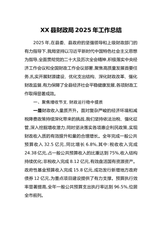 XX县财政局2025年工作总结