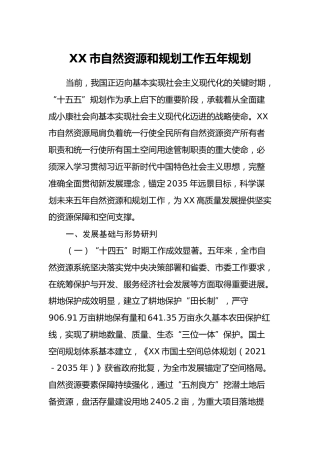 XX市自然资源和规划工作五年规划