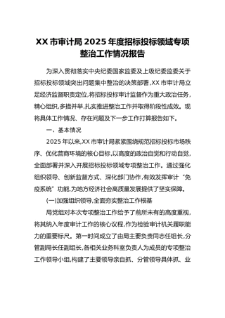 XX市审计局2025年度招标投标领域专项整治工作情况报告