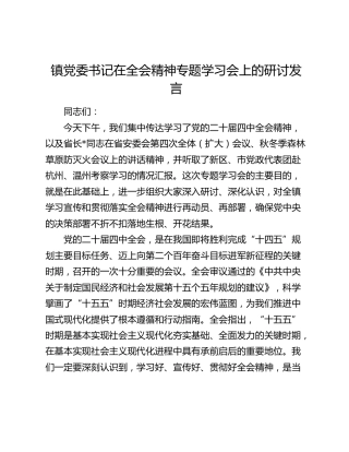 镇党委书记在四中全会精神专题学习会上的研讨发言