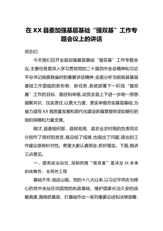 在XX县委加强基层基础“强双基”工作专题会议上的讲话