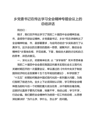乡党委书记在传达学习四中全会精神专题会议上的总结讲话
