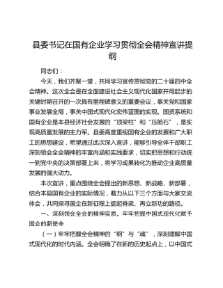 县委书记在国有企业学习贯彻四中全会精神宣讲提纲