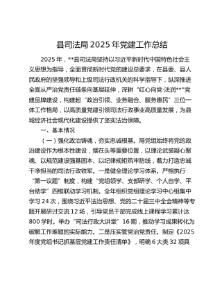 县司法局2025年党建工作总结
