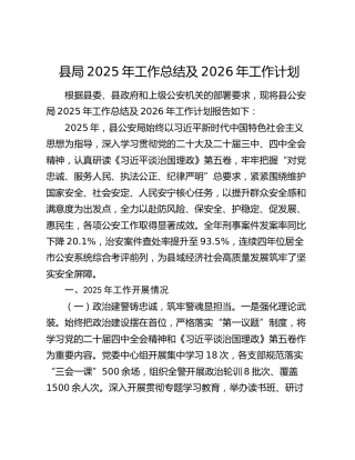 县局2025年工作总结及2026年工作计划
