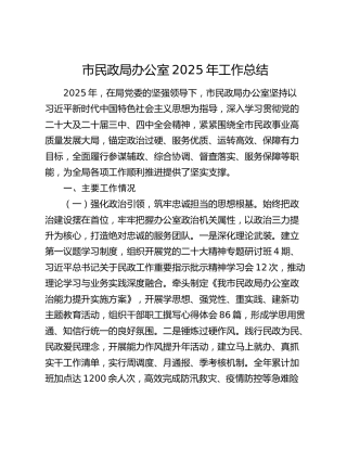 市民政局办公室2025年工作总结