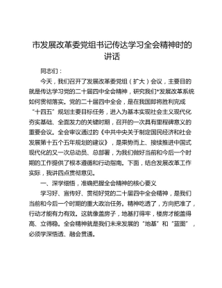 市发展改革委党组书记传达学习四中全会精神时的讲话