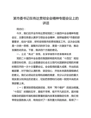 某市委书记在传达贯彻四中全会精神专题会议上的讲话
