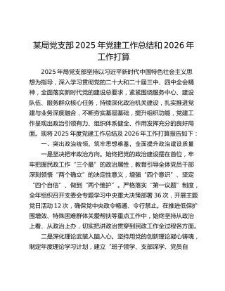 某局党支部2025年党建工作总结和2026年工作打算