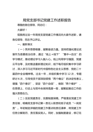 局党支部书记党建工作述职报告