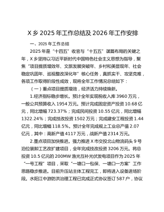 X乡2025年工作总结及2026年工作安排