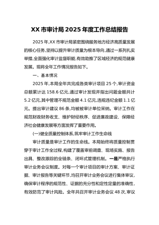 XX市审计局2025年度工作总结报告