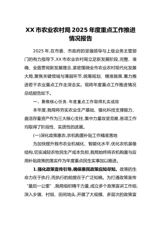 XX市农业农村局2025年度重点工作推进情况报告