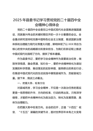 2025年县委书记学习贯彻党的二十届四中全会精神心得体会