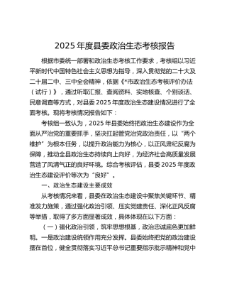 2025年度县委政治生态考核报告