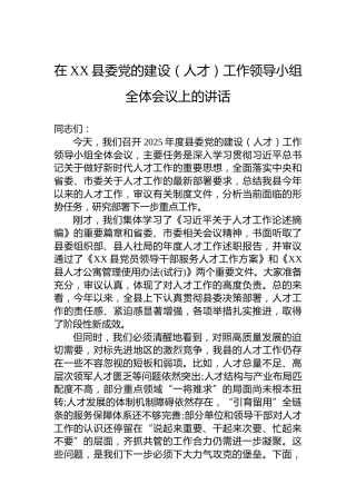 在XX县委党的建设（人才）工作领导小组全体会议上的讲话