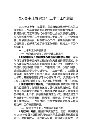 X县审计局2025年上半年工作总结
